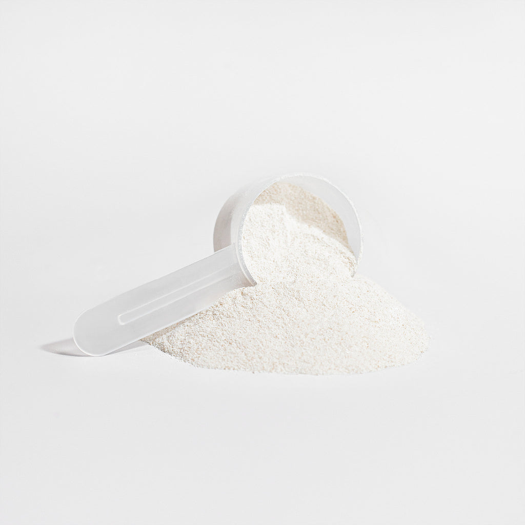 Grass-Fed Collagen Creamer (Vanilla) - Sanchez Sports Supplements powder